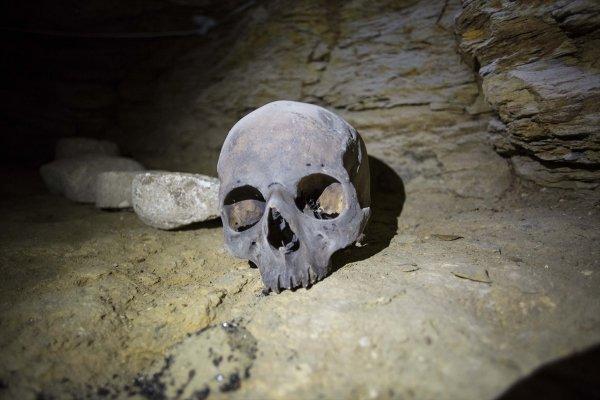 Mısır'da 8 firavun daha bulundu