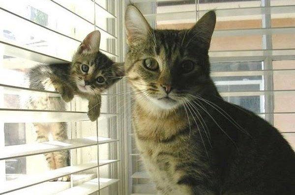 Singapur'daki enteresan yasaklar