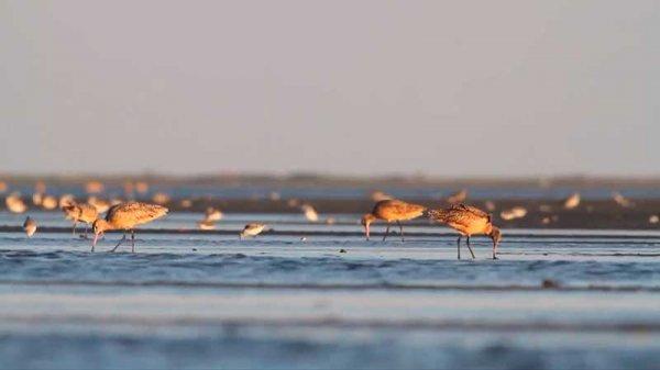 Singapur'daki enteresan yasaklar