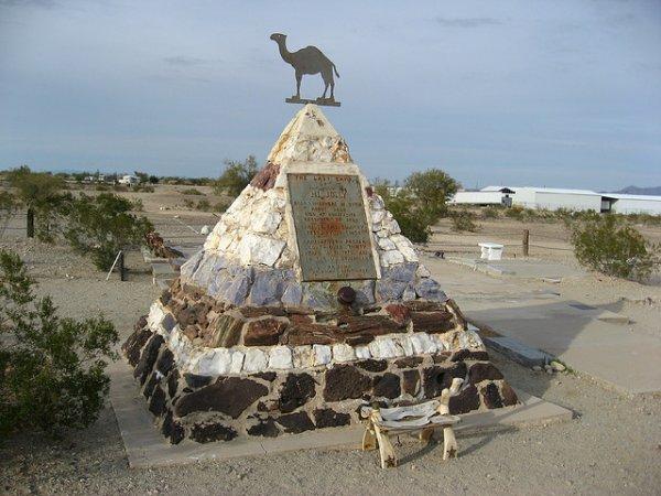 Deveci Hacı Ali’nin Amerika'yla ticareti