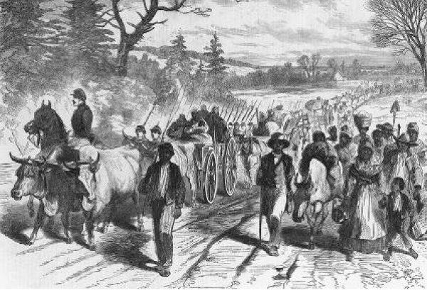 Deveci Hacı Ali’nin Amerika'yla ticareti