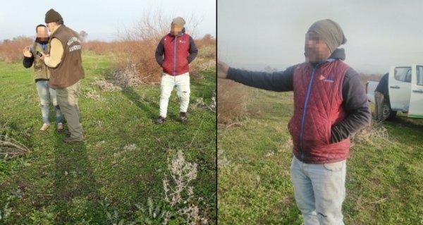 Saka kuşunu avlayanlara para cezası kesildi