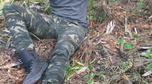 Ünlü belgeselcinin çıngıraklı yılanla tehlikeli oyunu