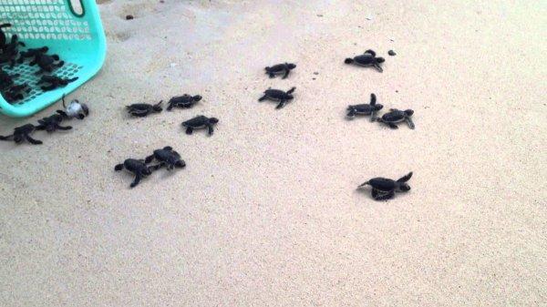 Dünyanın en lüks tatil adaları