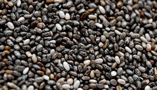 Chia tohumu nedir