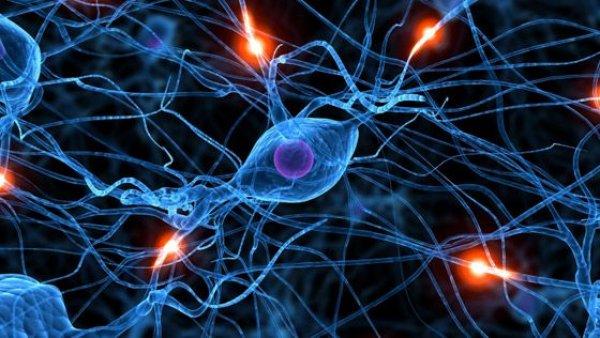 MS hastalığında kök hücre tedavisi