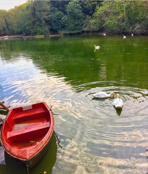 Türkiye'nin en güzel tabiat parkları