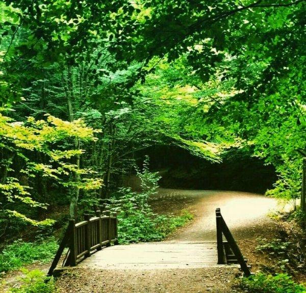 Türkiye'nin en güzel tabiat parkları