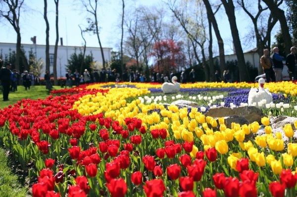 İstanbul'da 13. Lale Festivali başladı