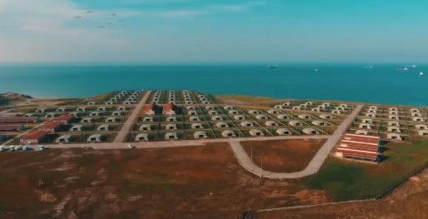 İBB hayvan dostlarımıza sahip çıkıyor