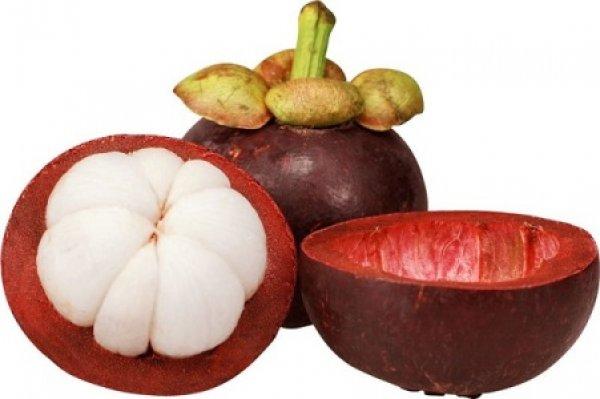 Mangostan nedir