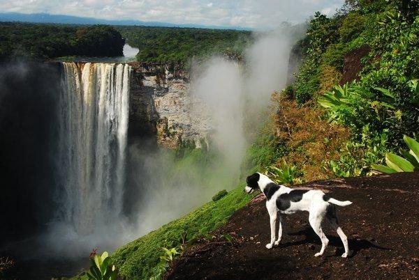 Ülke ülke devasa şelaleler