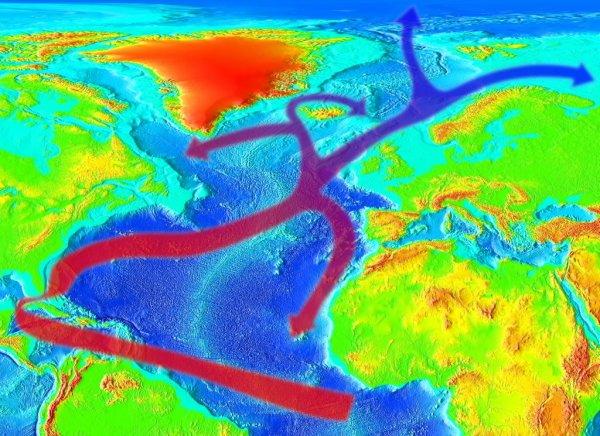 Gulf Stream'in kuruması, küresel felaketin habercisi