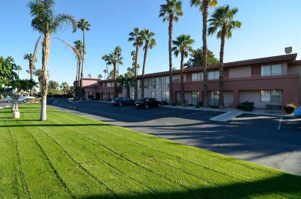 Seneye gidersiniz: Coachella Festivali