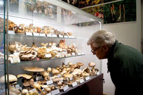 Yemek için gezenlere dünyaca ünlü yemek müzeleri