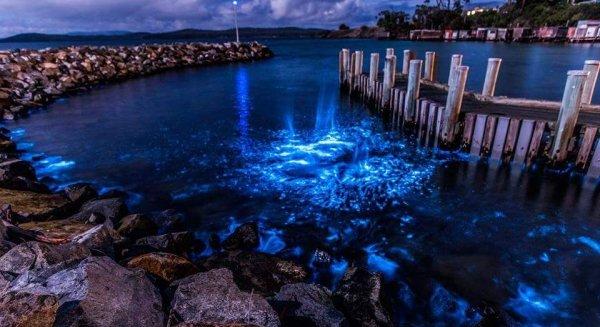 Yakamozun en güzel olduğu plajlar