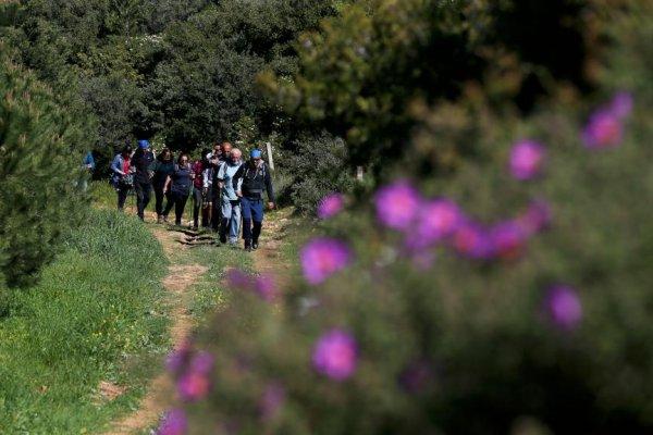 Köklü tarihiyle Efes Mimas yolu eşsiz güzellikler sunuyor