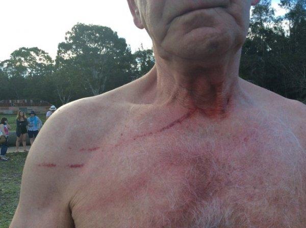 Avustralya kanguru parkı: Morisset Park