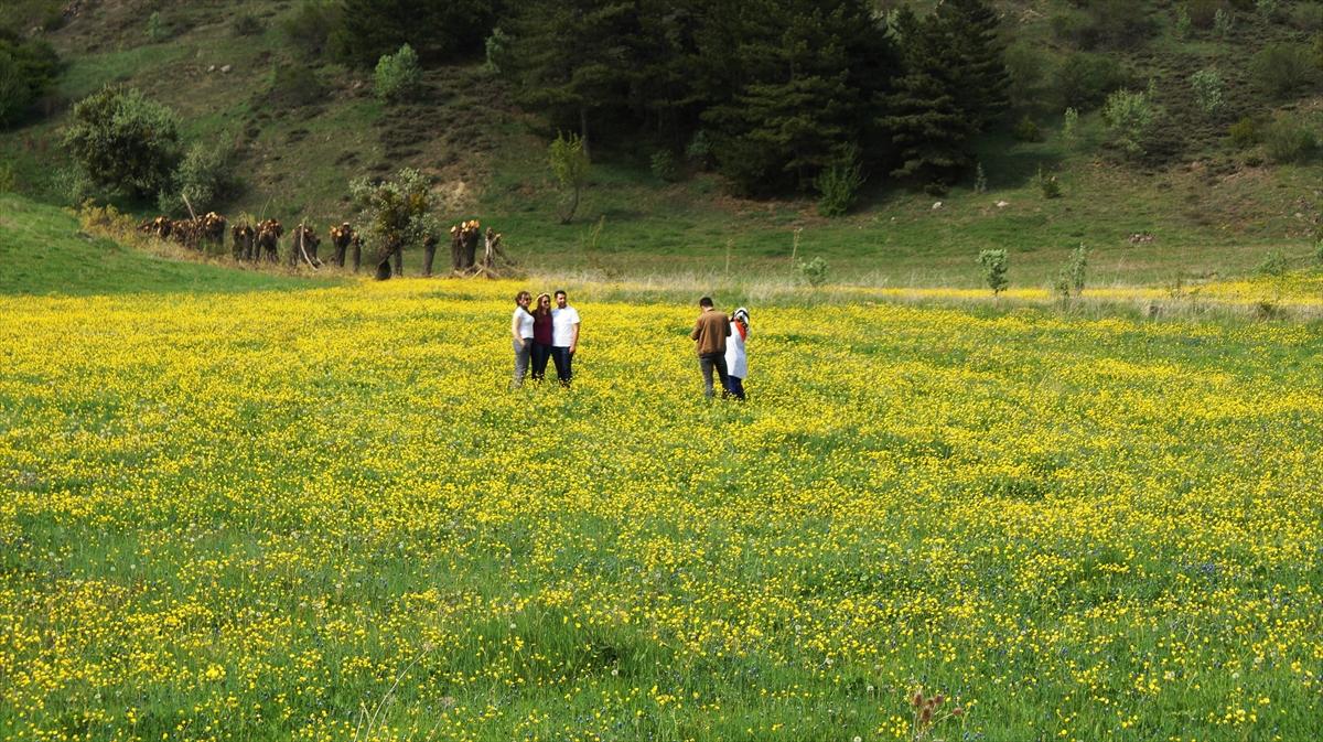 Karagöl Tabiat Parkı'na ilgi
