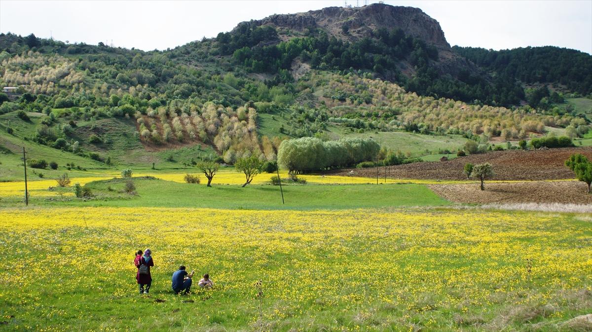 Karagöl Tabiat Parkı'na ilgi