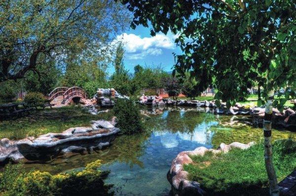 Samsun Arap turistlere talip