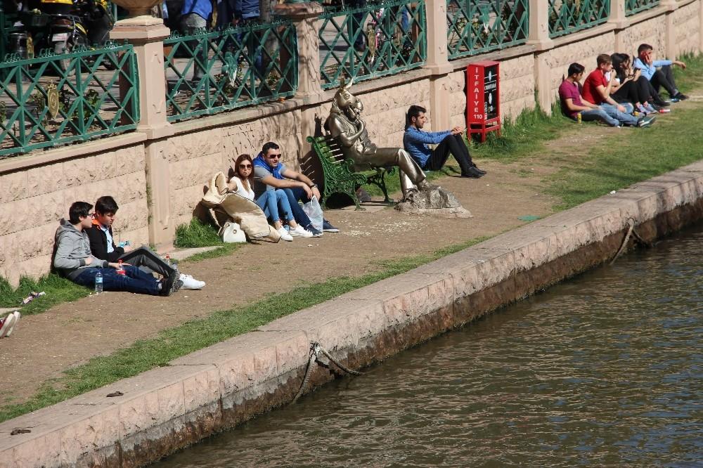 Eskişehir'de yapılan eşek heykeli işe yaramadı
