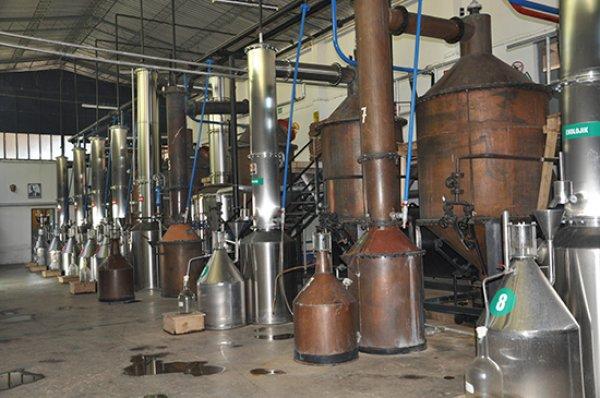 Bulgaristan’dan kaçırılan Isparta gülü