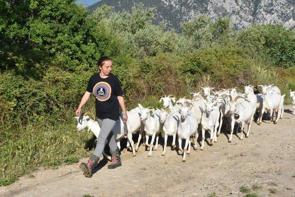 Nişantaşı kızı çoban oldu