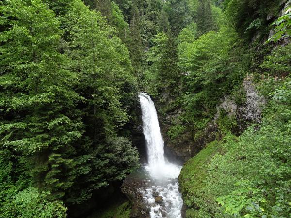 Rize'nin en yüksek debili şelalesine turist akını