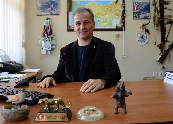 Doğu Karadeniz’deki artan ayı sayısı korkutuyor