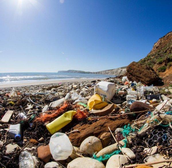 The Beach filmiyle ünlü Tayland’taki Maya Koyu kapanıyor