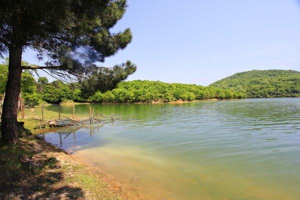 İstanbul’a yakın kamp alanları