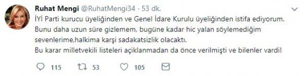 İYİ Parti'nin kurucu üyelerinden Ruhat Mengi istifa etti