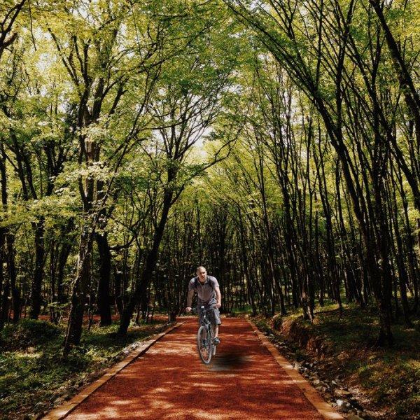 İstanbul’un en iyi 5 bisiklet rotası