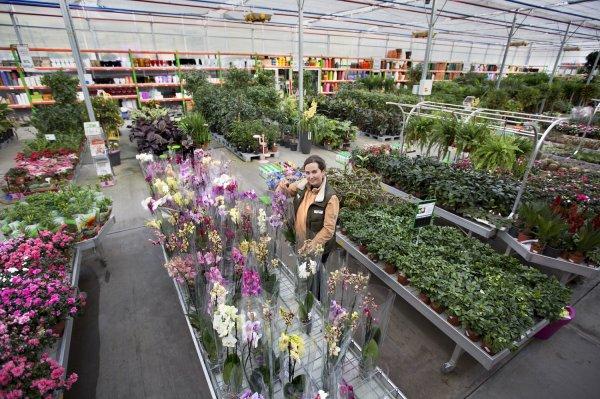 İBB Bahçe Market'ten 5 Haziran Çevre Günü'ne özel indirim