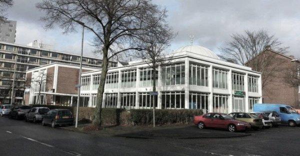 PEGIDA cami önündeki domuz çevirme eyleminden vazgeçti