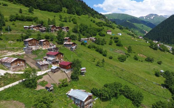 İkizdere'deki ahşap ev geleneği sürüyor