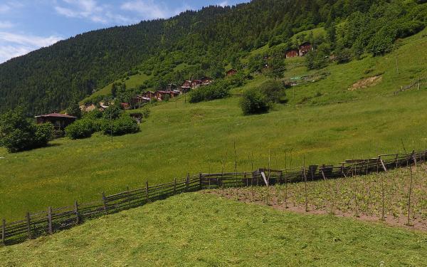 İkizdere'deki ahşap ev geleneği sürüyor