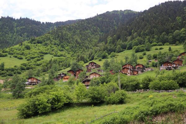 İkizdere'deki ahşap ev geleneği sürüyor