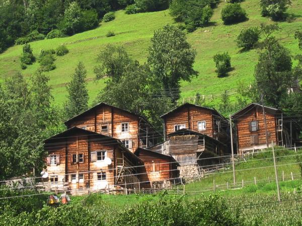 İkizdere'deki ahşap ev geleneği sürüyor