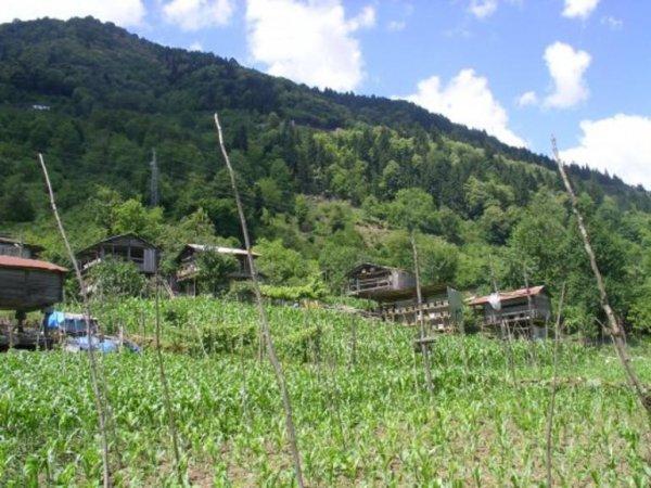 Türkiye’de ekolojik yaşam çiftlikleri