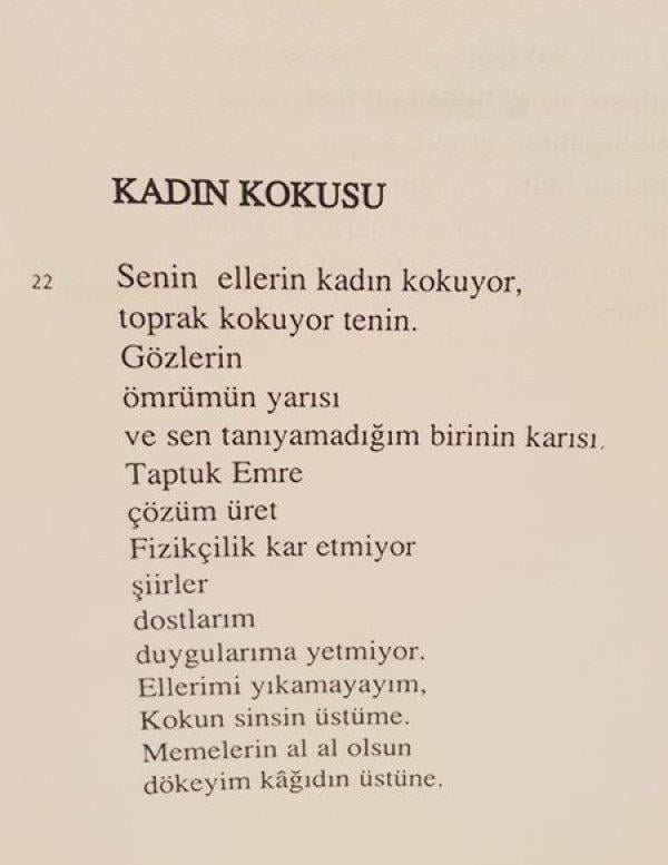 CHP'nin adayı Muharrem İnce'nin erotik kitabı: Tatanka