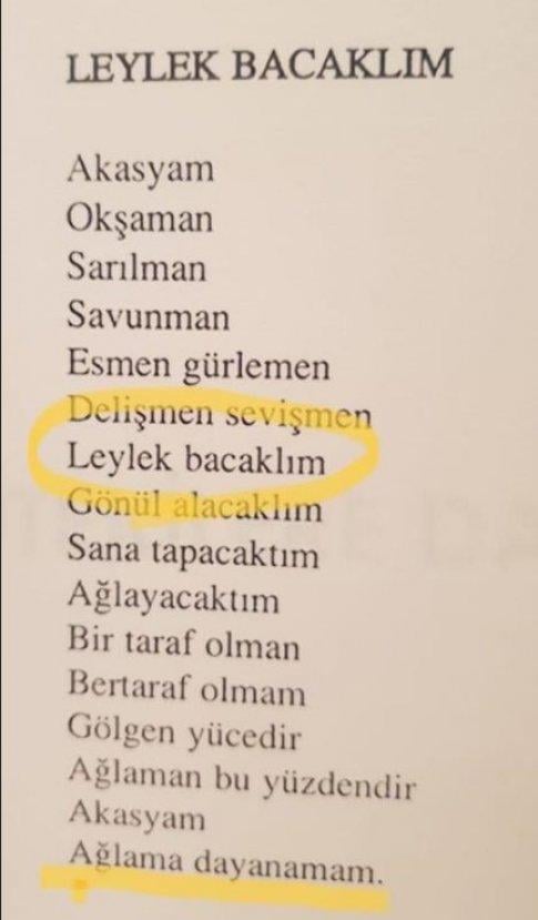 CHP'nin adayı Muharrem İnce'nin erotik kitabı: Tatanka