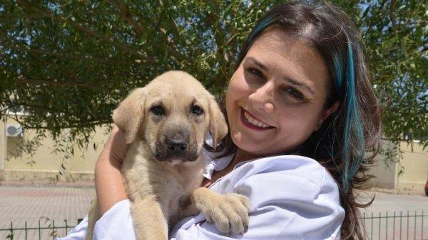 İlkokullara hayvan sevgisi dersi önerisi