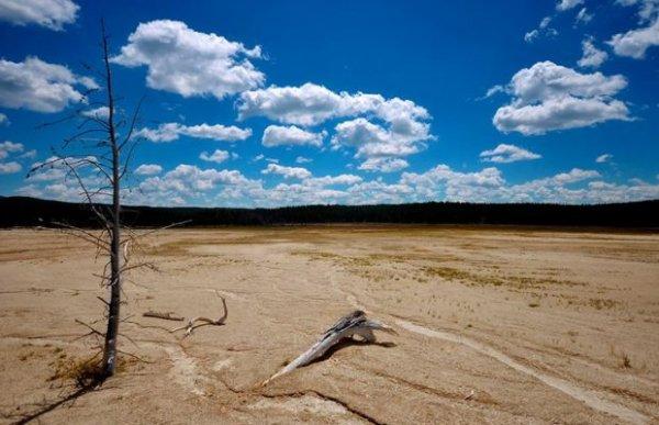 2100 yılında 100 bin kişi aşırı sıcaklardan ölebilir