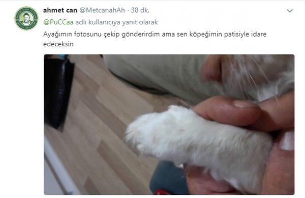 Pucca'ya cevap olarak gönderilen ayaklar