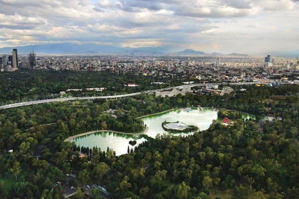 Seyahat Kupası: Brezilya vs Meksika