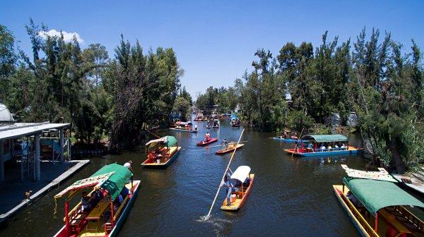 Seyahat Kupası: Brezilya vs Meksika