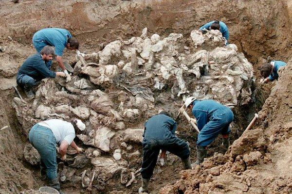 Acı tarihin yıl dönümü: Srebrenitsa Katliamı