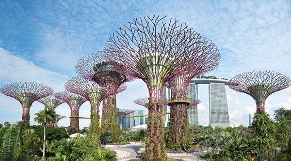Çıtayı dağlara çıkaran havalimanı: Singapur Changi